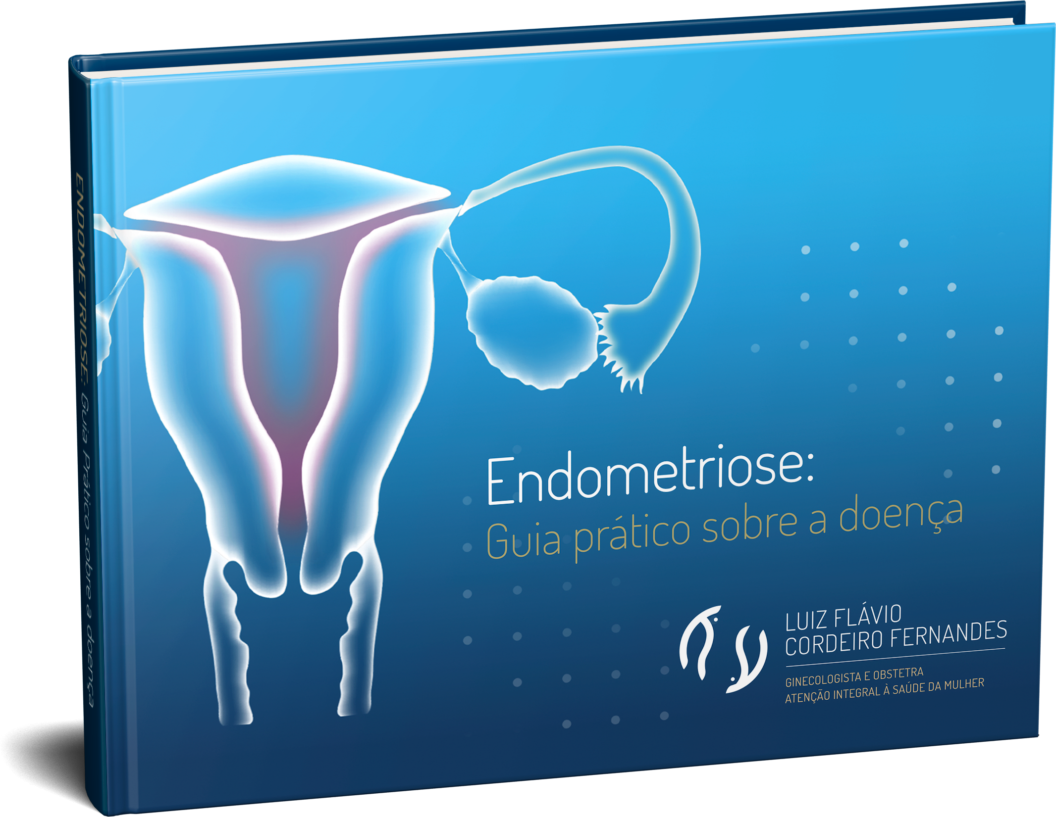 E-book Endometriose